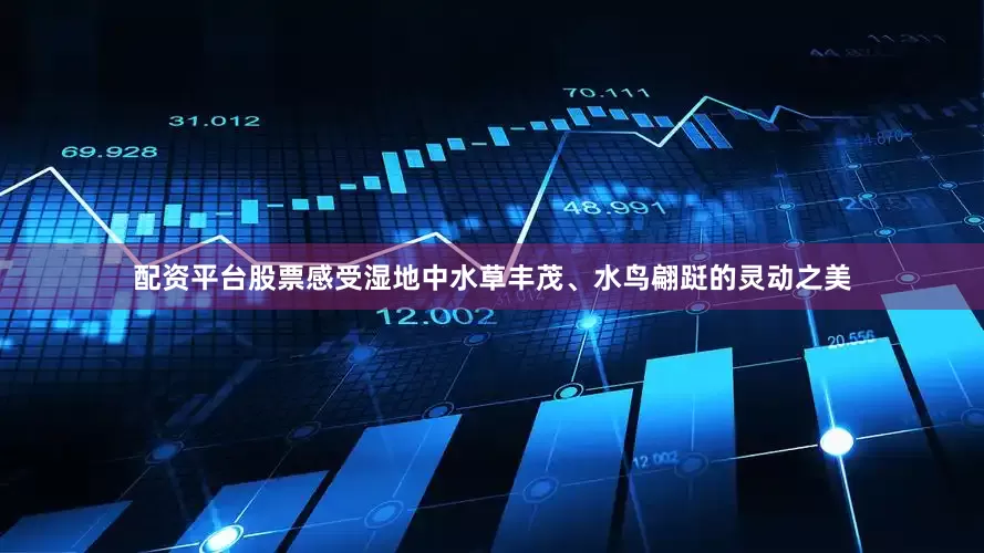 配资平台股票感受湿地中水草丰茂、水鸟翩跹的灵动之美