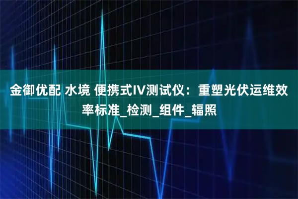 金御优配 水境 便携式IV测试仪:重塑光伏运维效率标准_检测_组件_辐照